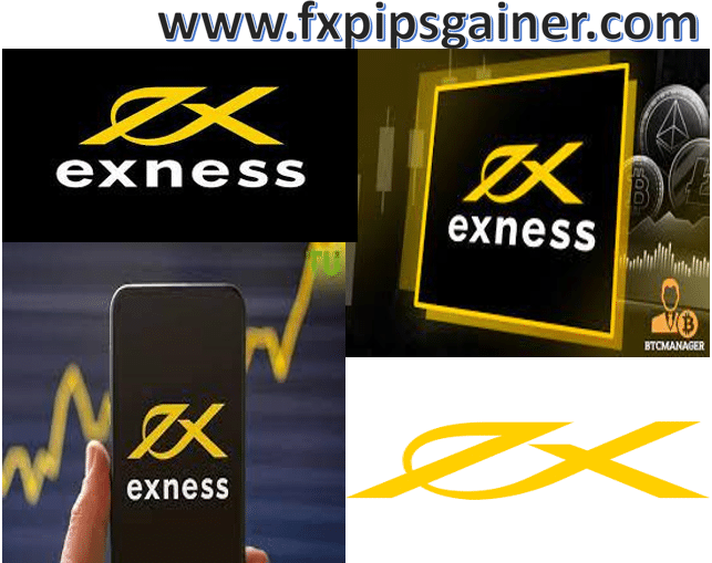 A Comprehensive Guide to Exness Trading Account