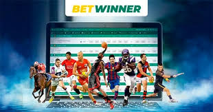 All You Need to Know About Betwinner Betting